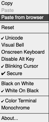 img/shellinabox_past_from_browser.png