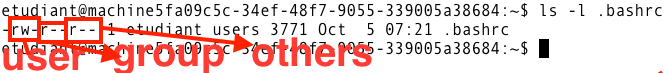 img/user_right.png